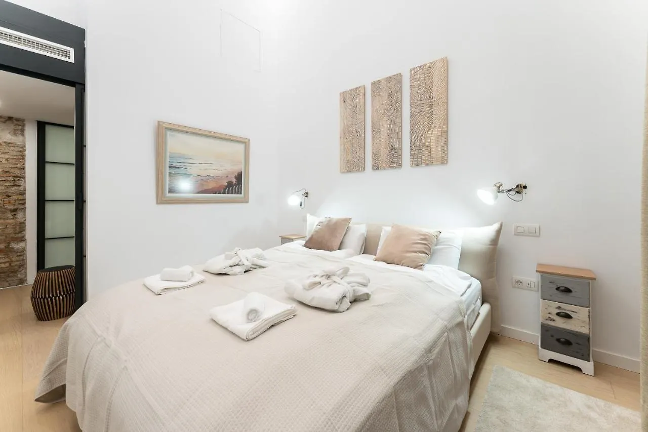 High Ceiling Gem In Heart Of Malaga Historic District Apartment